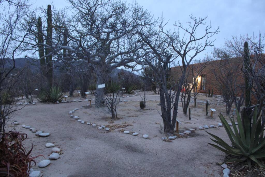Vila Rancho Campestre El Ancon La Paz Exteriér fotografie